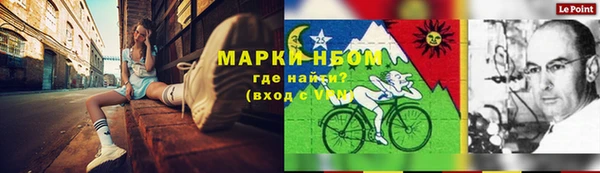 PSILOCYBIN Богородицк