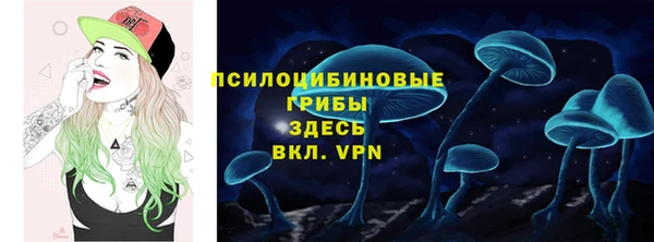 бошки Богородск