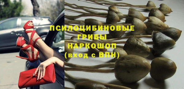 ГАЛЛЮЦИНОГЕННЫЕ ГРИБЫ Бронницы
