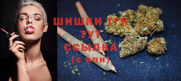 PSILOCYBIN Богородицк