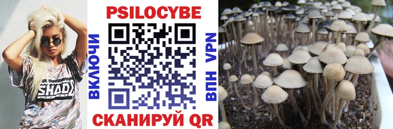 продажа наркотиков  Назарово  Галлюциногенные грибы Psilocybe 